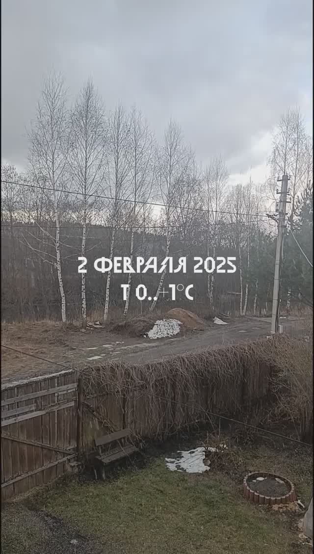 Погода в Подмосковье в День сурка 2025