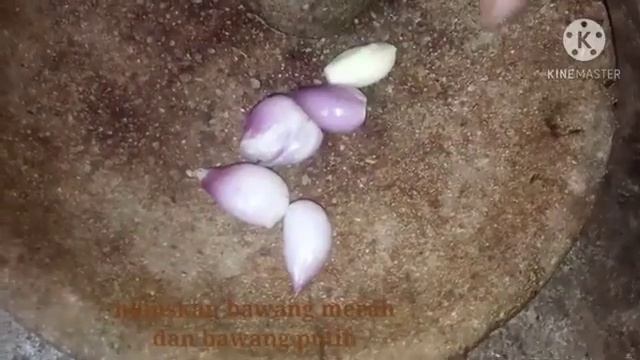 Ocha_lauk nabati_Tempe_Tumis Tempe смотреть онлайн