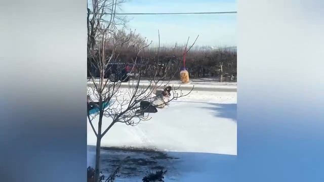 Лучшие неудачи 🤯 Хватит дурачиться!смешные видео смотреть онлайн