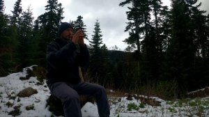 Флейта Свирель / Зазываю Птиц в Горном Лесу / Музыка для Души