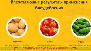 🔴 Сорняк повилика методы борьбы ❌ Обработка газона гербицидами