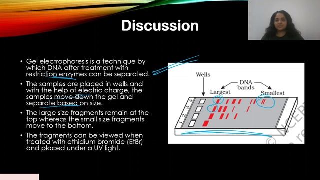 Biotechnology: Principles - 3/4 | Previous Year NEET Question & Discussion | NEET 2022 | NEET 2023