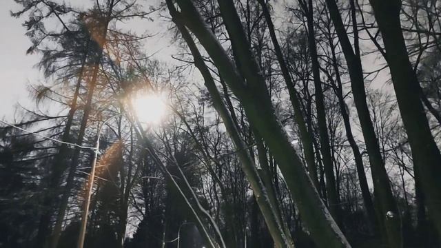 VID 20230112 225209 На небе блестящая...(Поль Верлен)...Павел Васильев Лахтинский смотреть онлайн