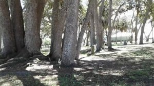 Сельчанка в Америке. Монолог Гены