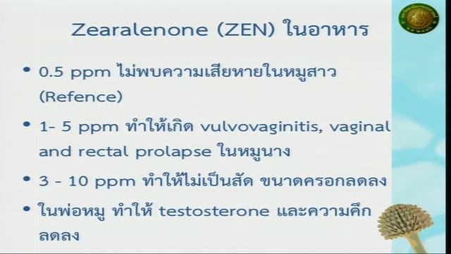 ทนโรคทนเหตการณ 2017 ep 1