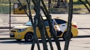 Эдвард Билл Пранкует Таксистов с Кабаном