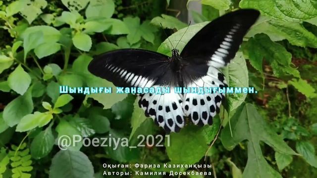 Поэзия қазақша ӨМІР ⚜Авторы: Камилия Досекбаева ↪Оқыған: Фариза Казиханқызы