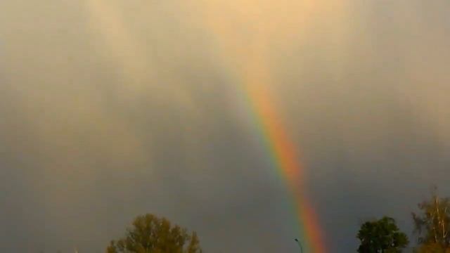 НУЖНО УВИДЕТЬ ВСЕМ! ВЕСЕЛКА rainbow РАДУГА! смотреть онлайн
