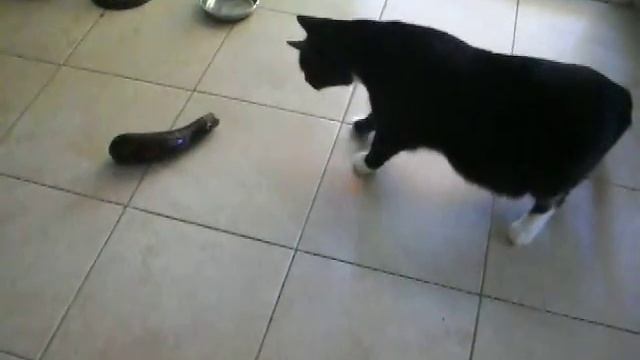 35 3 Страха нет одно любопытство смотреть онлайн