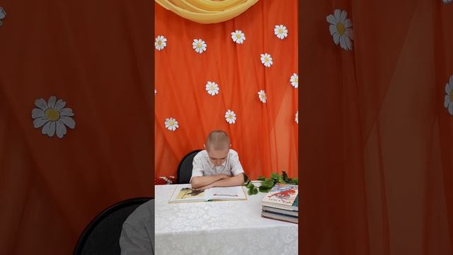 Почему коты и собаки не дружат.