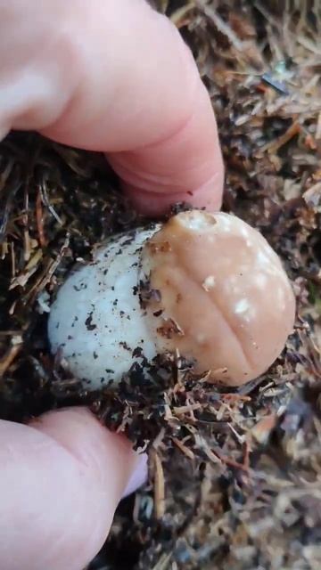 🍄Как распознать знаки вселенной?🏞️ смотреть онлайн