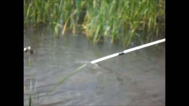 Клевая рыбалка на крупного карася смотреть онлайн