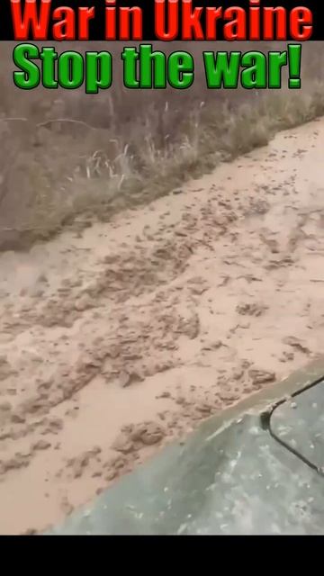 A column of Leopard 2A4 tanks and M113 armored personnel carriers in Ukraine. War in Ukraine смотреть онлайн