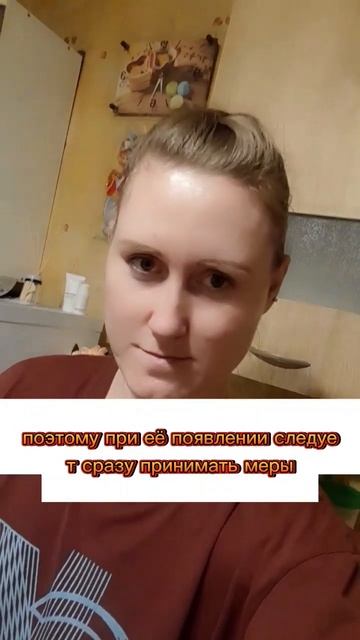 Боремся с плесенью в доме. #плесень #здоровье #средствоотплесени смотреть онлайн