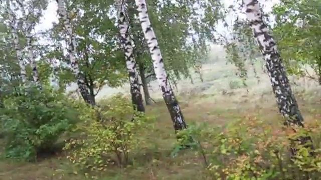 7 сентября 2013 г ч 4 смотреть онлайн