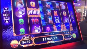 HUGE WIN BONUS ON AMERICAN BISON & CAN CAN BONUS