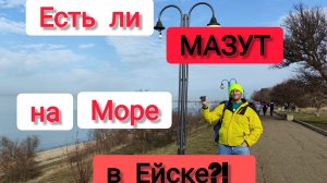 Переезд на ЮГ/Есть ли МАЗУТ на море в ЕЙСКЕ/ МУКБАНГ/Сколько стоит обед в СТОЛОВОЙ на двоих/МОРЕ