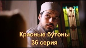 "Красные бутоны" обзор 36 серии