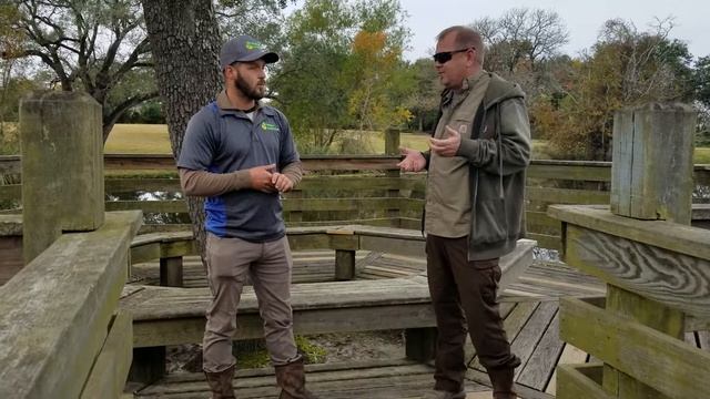 A chat with an Arborist смотреть онлайн