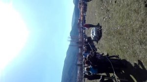 Draft horses pulling in KRUPNIK (Тодоровден в село Крупник) 04.03.2017 (2)