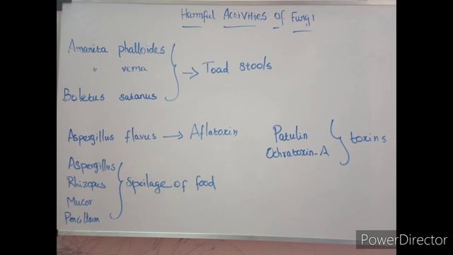 Beneficial and harmful activities of fungi смотреть онлайн