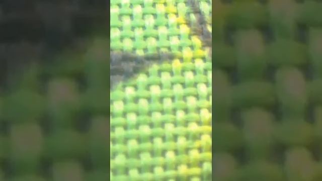 магия камери. дурдом веселка❤ смотреть онлайн