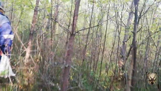 ВЛОГ.ПОШЛИ В ЛЕС ЗА ГРИБАМИ смотреть онлайн