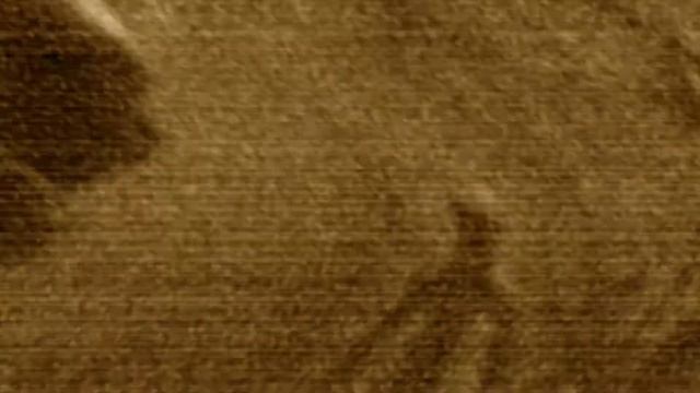 как виглядили секунды из видео палочника смотреть онлайн