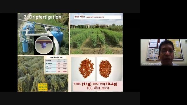 Scaling IAE through technological interventions in pulses while enduring Covid +19 Pandemic смотреть онлайн