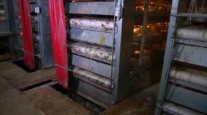 Оборудование для выращивания бройлеров Автоматизированная система | ТЕХНА