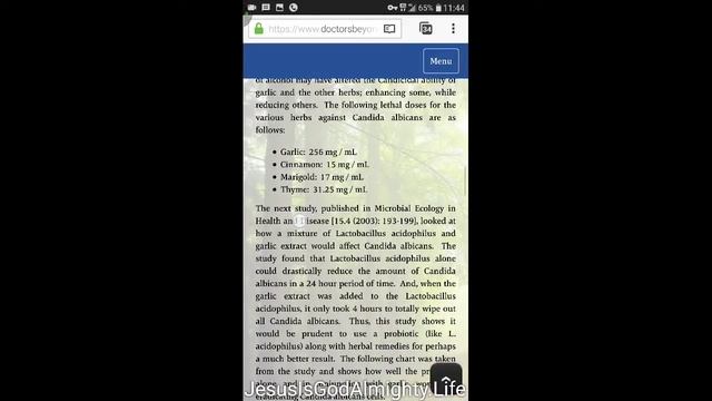 Garlic Candida Albicans (3) смотреть онлайн