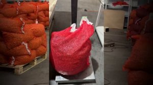 В продажу поступил лук-севок