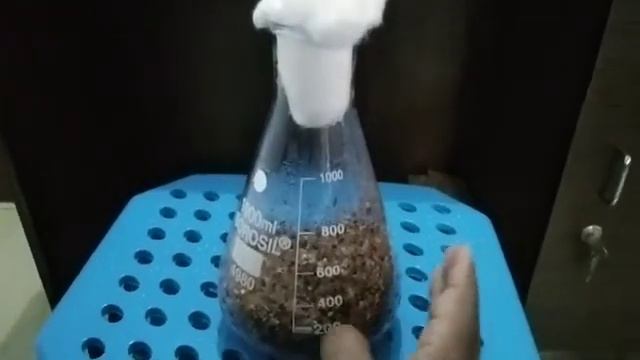 Biotechnology project solid state fermentation