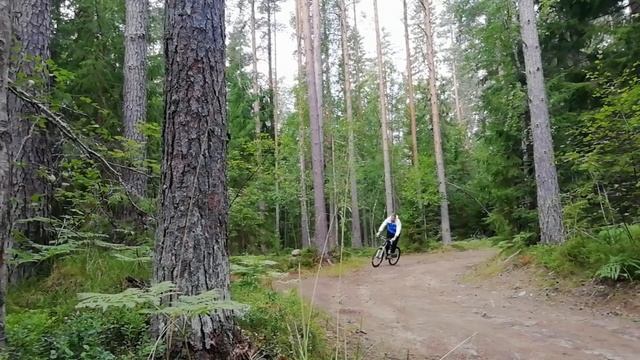 Велопокатухи карельский перешеек или жизнь глазами мухомора) смотреть онлайн