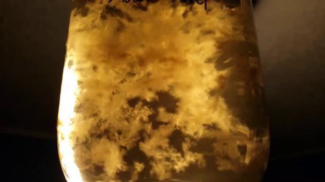 Cordyceps militaris Liquid Culture смотреть онлайн