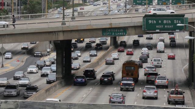 Evrim Dersi 6: Diğer Çeşitlilik Mekanizmaları смотреть онлайн