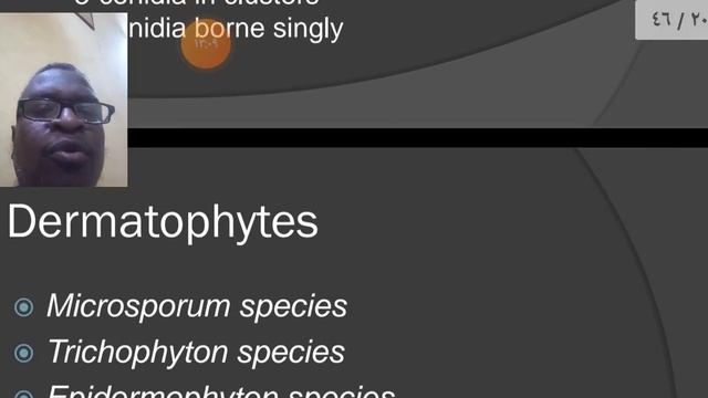 Classification of medical fungi
