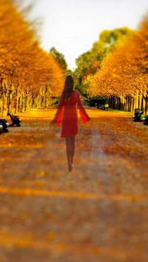 Бабье лето в цвет печали