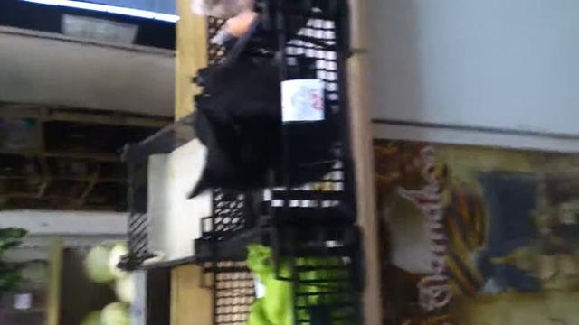 Перец. Большой,красный за 415 руб/кг или кот в мешке,т.е. в корзине:)) смотреть онлайн