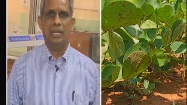 Raithunestam 10-3-14 by DD Saptagiri Hyd смотреть онлайн