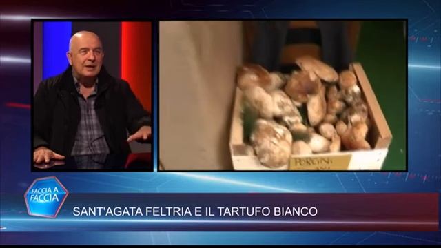 S'AGATA FELTRIA E IL TARTUFO BIANCO смотреть онлайн