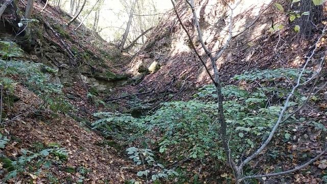 ПЕНЬКОВСКАЯ ФИБУЛА ИЛИ МОРЕ ГРЫБОВ!!! смотреть онлайн