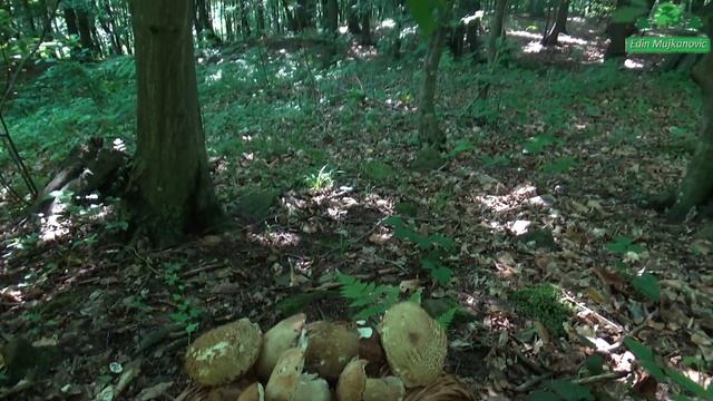 Vrganji - 10 Extra смотреть онлайн