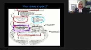 КАК ВОЗНИКАЕТ СТРЕСС