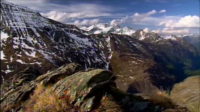 МҰҚАҒАЛИ: АДАМ ҚОЙҒАН АТЫМНАН АЙЫРЫЛМАЙМЫН!