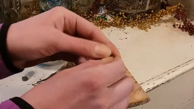 How to Save Burdock Seeds | Burdock Root Benefits | Burdock Seeds | Seed Saving | Foraging | Burdoc смотреть онлайн