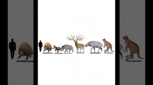 Cenozoic Beast Size Comparison