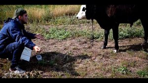 Глеб NON - ПАРОДИЯ | Ганвест - Никотин