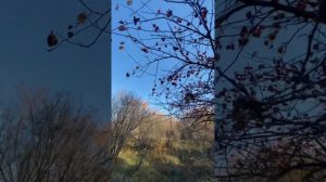 Один осенний день в 2022 году…