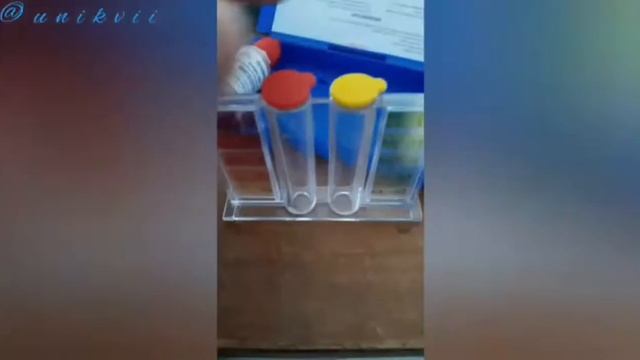 CARA PEMERIKSAAN KADAR CHLORIN AIR MINUM AYAM | AIR MINUM AMAN UNTUM AYAM | KAPORIT DALAM AIR MINUM